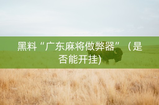黑料“广东麻将做弊器”（是否能开挂)