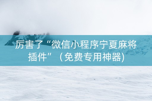 厉害了“微信小程序宁夏麻将插件”（免费专用神器)