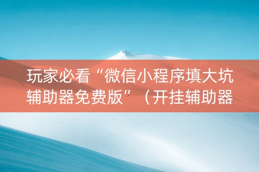 玩家必看“微信小程序填大坑辅助器免费版”（开挂辅助器插件)