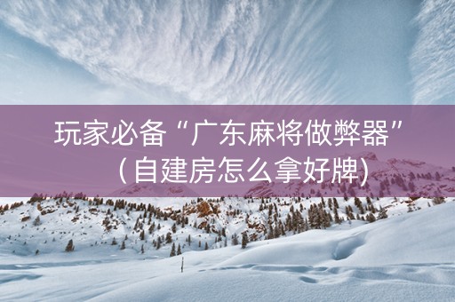 玩家必备“广东麻将做弊器”（自建房怎么拿好牌)