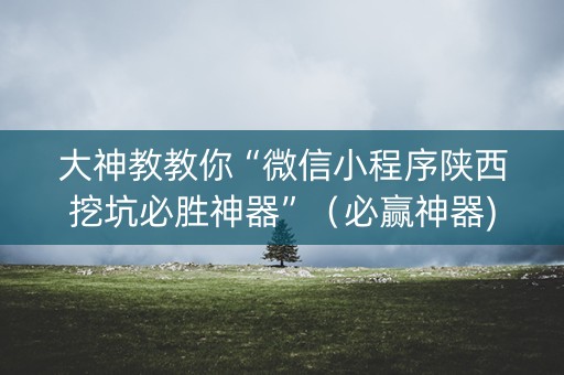 大神教教你“微信小程序陕西挖坑必胜神器”（必赢神器)