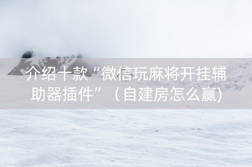 介绍十款“微信玩麻将开挂辅助器插件”（自建房怎么赢)