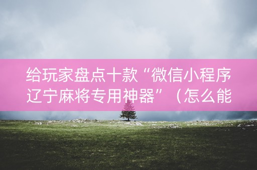 给玩家盘点十款“微信小程序辽宁麻将专用神器”（怎么能让牌好一点)