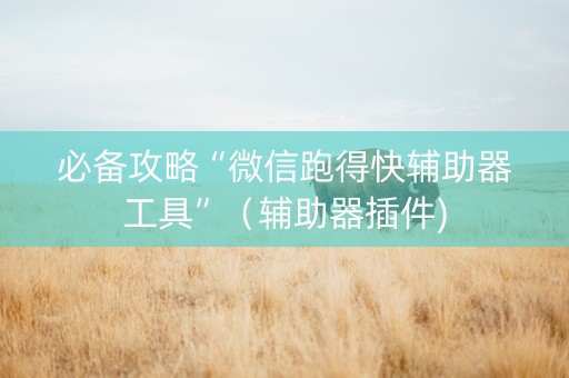 必备攻略“微信跑得快辅助器工具”（辅助器插件)