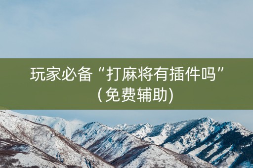 玩家必备“打麻将有插件吗”（免费辅助)