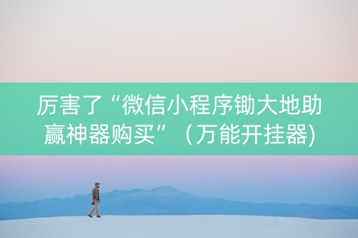 厉害了“微信小程序锄大地助赢神器购买”（万能开挂器)