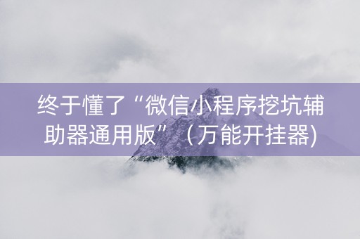 终于懂了“微信小程序挖坑辅助器通用版”（万能开挂器)