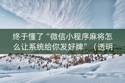 终于懂了“微信小程序麻将怎么让系统给你发好牌”（透明器教程)