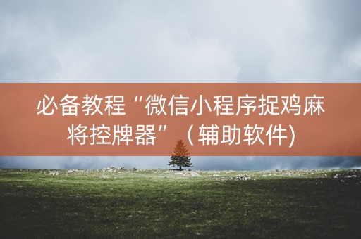 必备教程“微信小程序捉鸡麻将控牌器”（辅助软件)