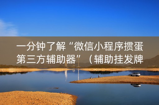 一分钟了解“微信小程序掼蛋第三方辅助器”（辅助挂发牌规律)