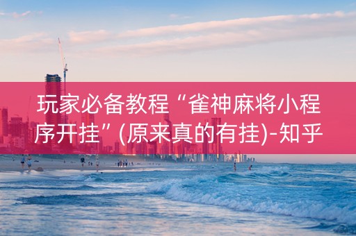 玩家必备教程“雀神麻将小程序开挂”(原来真的有挂)-知乎