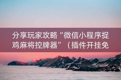 分享玩家攻略“微信小程序捉鸡麻将控牌器”（插件开挂免费AI)