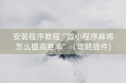 安装程序教程“微小程序麻将怎么提高胜率”（攻略插件)