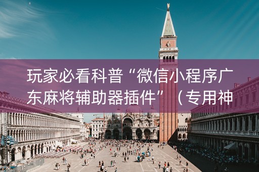玩家必看科普“微信小程序广东麻将辅助器插件”（专用神器下载)