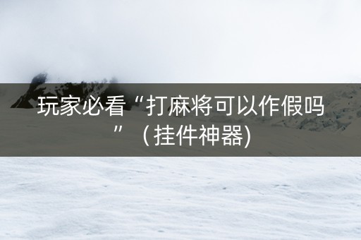 玩家必看“打麻将可以作假吗”（挂件神器)