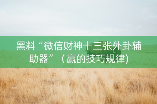 黑料“微信财神十三张外卦辅助器”（赢的技巧规律)