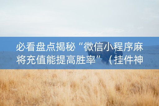 必看盘点揭秘“微信小程序麻将充值能提高胜率”（挂件神器)