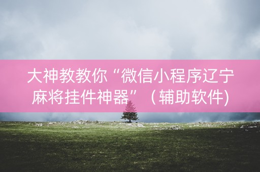 大神教教你“微信小程序辽宁麻将挂件神器”（辅助软件)