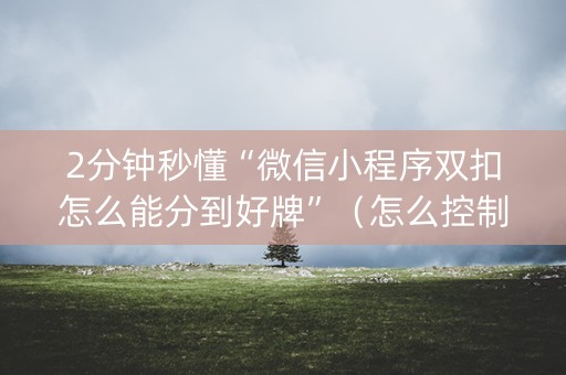 2分钟秒懂“微信小程序双扣怎么能分到好牌”（怎么控制输赢)