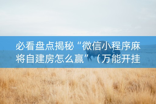 必看盘点揭秘“微信小程序麻将自建房怎么赢”（万能开挂器)