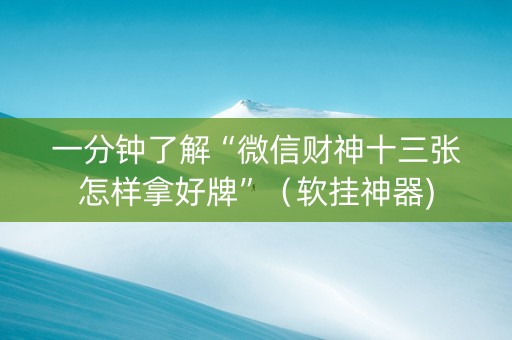 一分钟了解“微信财神十三张怎样拿好牌”（软挂神器)