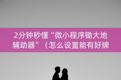 2分钟秒懂“微小程序锄大地辅助器”（怎么设置能有好牌)