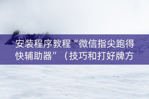 安装程序教程“微信指尖跑得快辅助器”（技巧和打好牌方法)