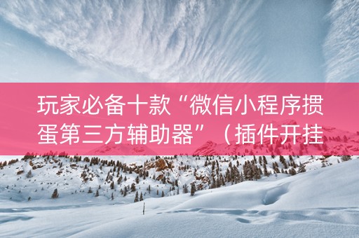 玩家必备十款“微信小程序掼蛋第三方辅助器”（插件开挂免费AI)