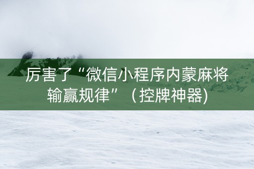 厉害了“微信小程序内蒙麻将输赢规律”（控牌神器)