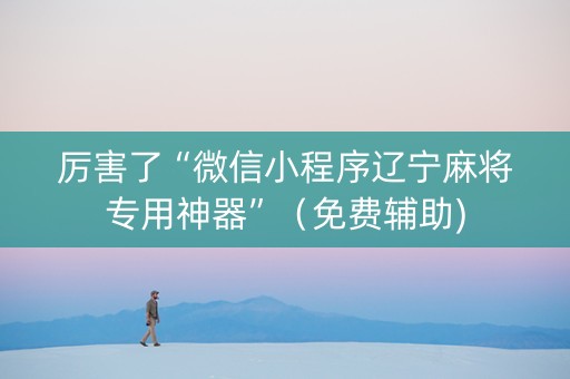 厉害了“微信小程序辽宁麻将专用神器”（免费辅助)