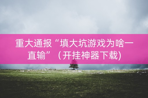 重大通报“填大坑游戏为啥一直输”（开挂神器下载)