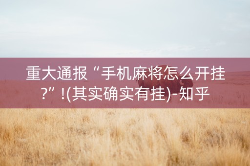 重大通报“手机麻将怎么开挂?”!(其实确实有挂)-知乎
