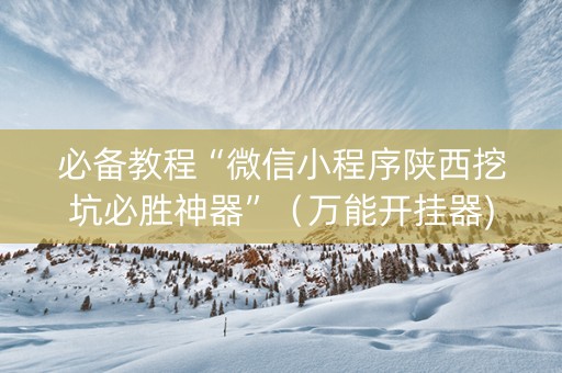 必备教程“微信小程序陕西挖坑必胜神器”（万能开挂器)