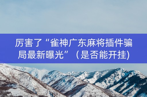 厉害了“雀神广东麻将插件骗局最新曝光”（是否能开挂)