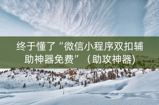 终于懂了“微信小程序双扣辅助神器免费”（助攻神器)