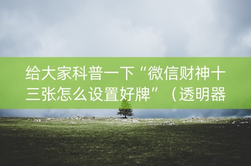 给大家科普一下“微信财神十三张怎么设置好牌”（透明器教程)