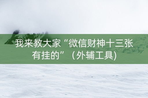 我来教大家“微信财神十三张有挂的”（外辅工具)
