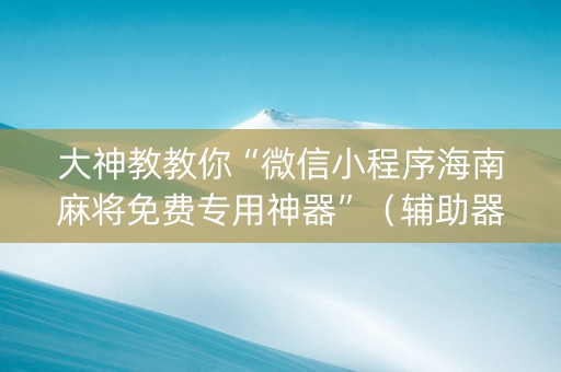 大神教教你“微信小程序海南麻将免费专用神器”（辅助器通用版)