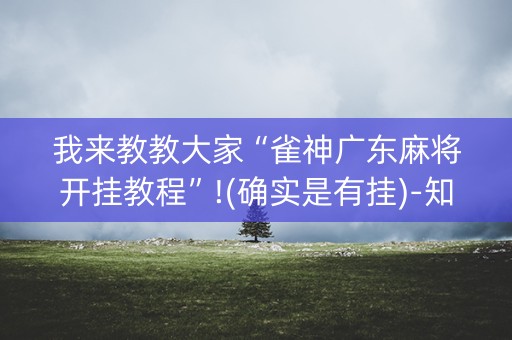 我来教教大家“雀神广东麻将开挂教程”!(确实是有挂)-知乎