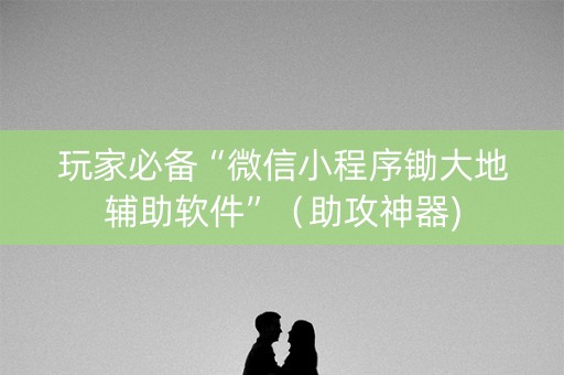 玩家必备“微信小程序锄大地辅助软件”（助攻神器)