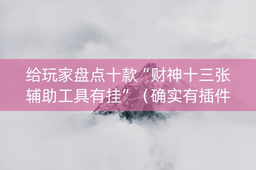 给玩家盘点十款“财神十三张辅助工具有挂”（确实有插件吗)