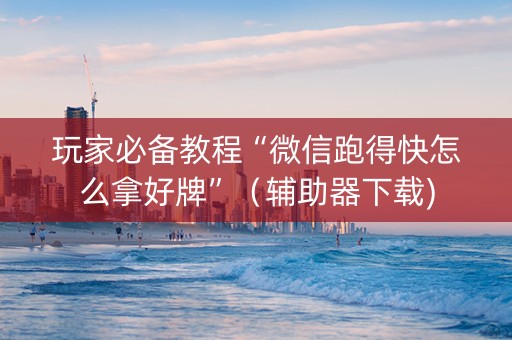 玩家必备教程“微信跑得快怎么拿好牌”（辅助器下载)