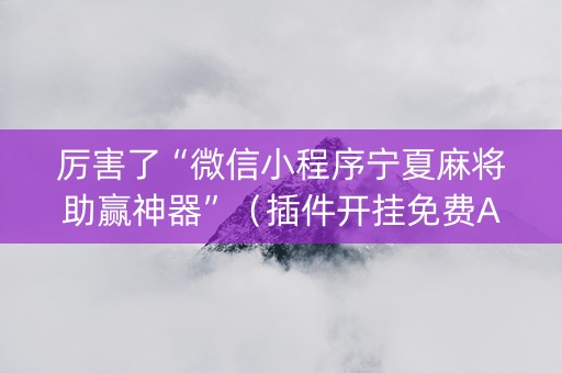 厉害了“微信小程序宁夏麻将助赢神器”（插件开挂免费AI)