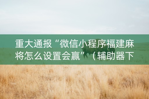 重大通报“微信小程序福建麻将怎么设置会赢”（辅助器下载)