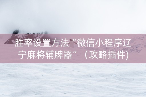 胜率设置方法“微信小程序辽宁麻将辅牌器”（攻略插件)