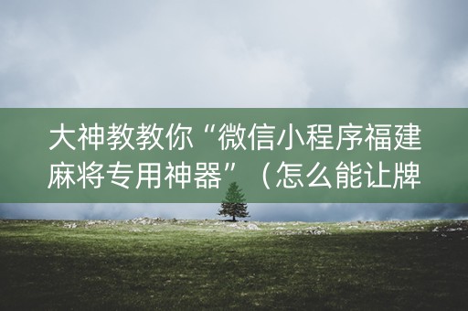 大神教教你“微信小程序福建麻将专用神器”（怎么能让牌好一点)
