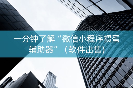 一分钟了解“微信小程序掼蛋辅助器”（软件出售)