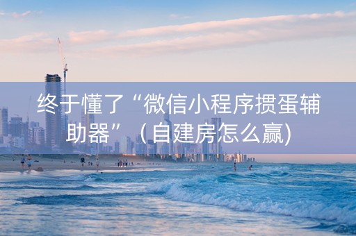 终于懂了“微信小程序掼蛋辅助器”（自建房怎么赢)