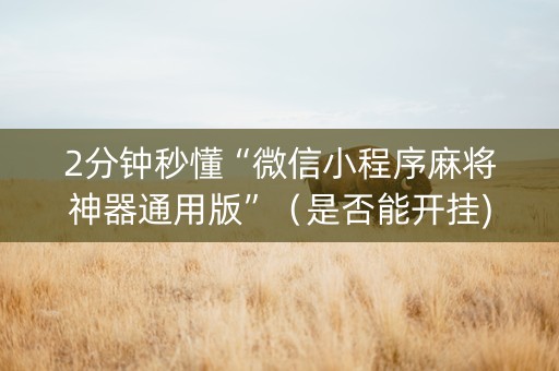 2分钟秒懂“微信小程序麻将神器通用版”（是否能开挂)