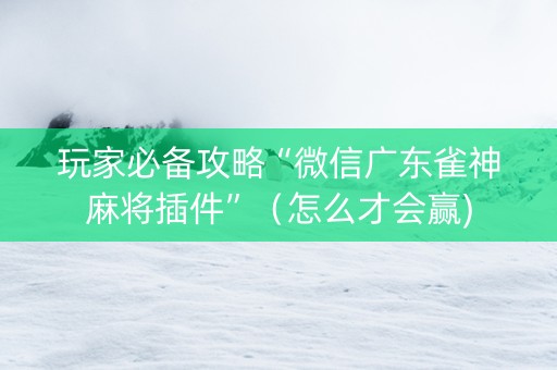 玩家必备攻略“微信广东雀神麻将插件”（怎么才会赢)